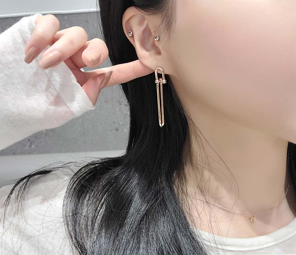 925 Silver Tiffany Link Chain Earring